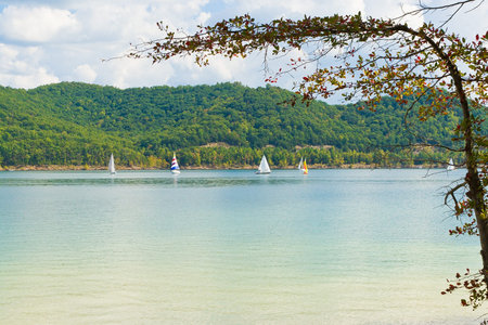 Summer view of a local lake with sailboats and beautiful  forest on the lake shore in Kentucky, USAの写真素材