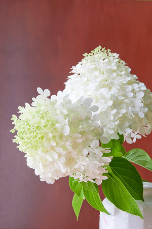 Bouquet of white hydrangea flowers in a vase.  selective focus, shallow dof