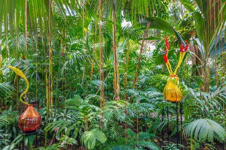 ATLANTA, GA, USA -  APRIL, 23 2016: Exhibition of glass artist Chihuly takes place in the Atlanta Botanical Garden in Atlanta, Georgia in 2016.のeditorial素材