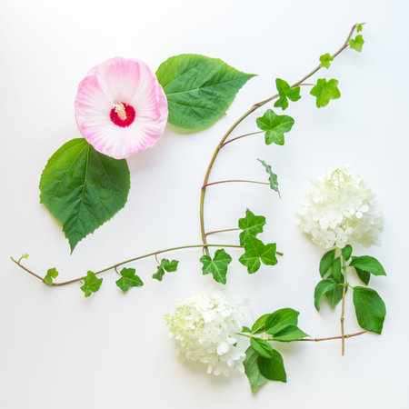 Floral composition  with ivy, hibiscus and hydrangea flowers on light background.  Top view, flat...