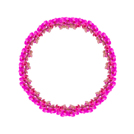 Frame made from orchid flowers isolated on whiteの写真素材