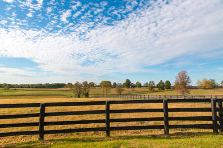 Beautiful autumn country landscape with pastures of horse farms.の写真素材