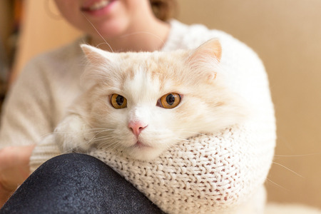 Young woman wearing warm sweater is playing with her catの写真素材