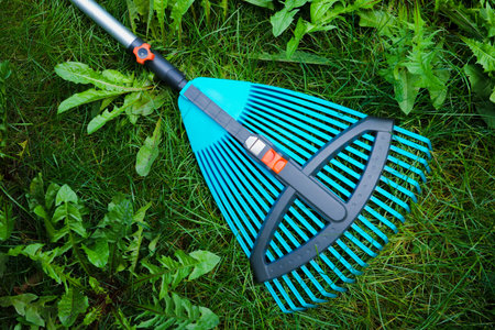 Blue garden rake on green grass with weeds and small wildflowers in garden