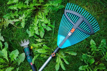 Garden tools such as a rake and cordless shears among green grass, weeds and small wildflowers in...