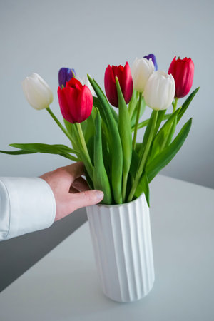 Hand gently touches one of the flowers in a colourful bouquet of tulips in a white ribbed vaseの写真素材