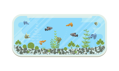 Cartoon vector home glass aquarium illustration with water, plants and fish. Isolated aquarium life clipart in flat style.のイラスト素材