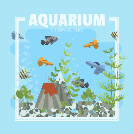 Cartoon vector home aquarium illustration with water, plants and fish.のイラスト素材