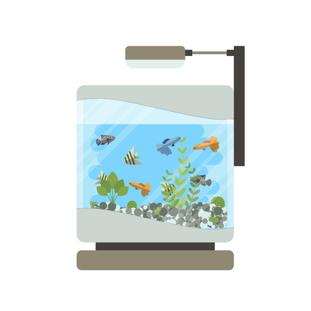 Cartoon vector home aquarium illustration with water, plants and fish.のイラスト素材