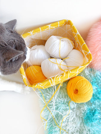 Gray cat tangled yellow threads for knitting.