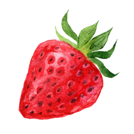 Strawberry isolated on white background, watercolor illustrationの写真素材