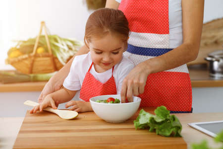 Happy woman and her daughter making healthy vegan salad and snacks for family feasting in sunny kitchen. Christmas, New year, Thanksgiving, Anniversary, Mothers Day. Healthy meal cooking conceptの写真素材