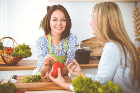 Two women friends choose the recipe and ingredients for a delicious meal while sitting at the kitchen table. Vegetarian conceptの写真素材