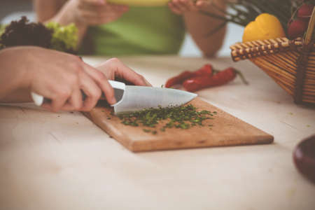 Unknown young woman slicing greens for a delicious fresh vegetarian salad while sitting and smiling at the kitchen desk, just hands, close-up. Cooking conceptの写真素材