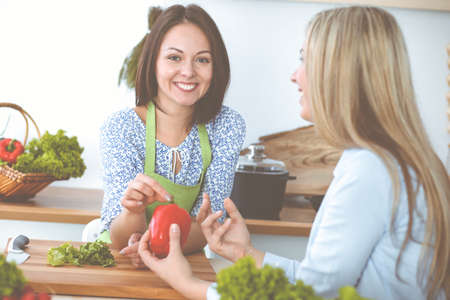 Two women friends choose the recipe and ingredients for a delicious meal while sitting at the kitchen table. Vegetarian conceptの写真素材