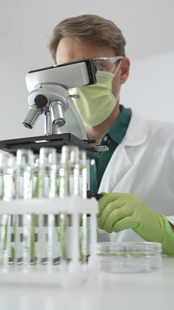 Scientist wearing green protective gloves and mask is using a microscope, examining samples in test...