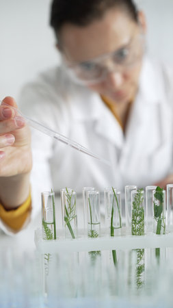 Woman scientist wearing a lab coat, is dripping liquid from a pipette into a test tube with a green plant inside, vertical close up view. Science and medicine conceptsの写真素材