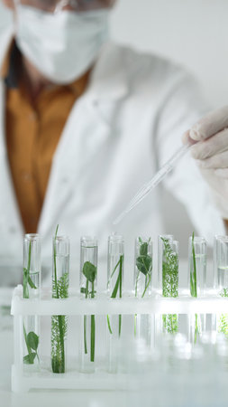 Man scientist wearing a lab coat, white protective gloves and face mask is dripping liquid into test tubes containing herbs for analysis in a laboratory, close up. Science and medicineの写真素材