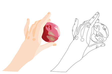 In a graceful hand, a ripe red apple. Coloring. Stock vector illustration isolated on a white background.のイラスト素材