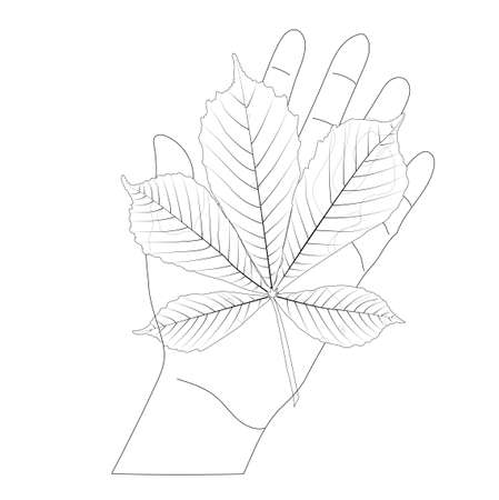 Doodle style chestnut leaf on the palm. Vector stock illustration.のイラスト素材