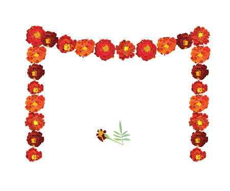 Orange calendula, symbol of the Mexican holiday Day of the Dead. Garland of flowers. Vector stock illustration isolated on white background.のイラスト素材