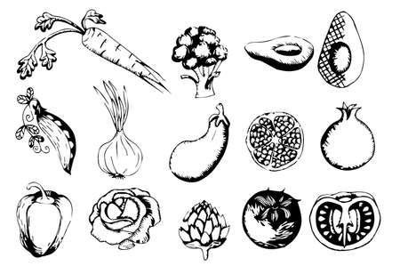 Set of monochrome hand drawn vegetables. graphics. Vector illustration isolated on white background.のイラスト素材