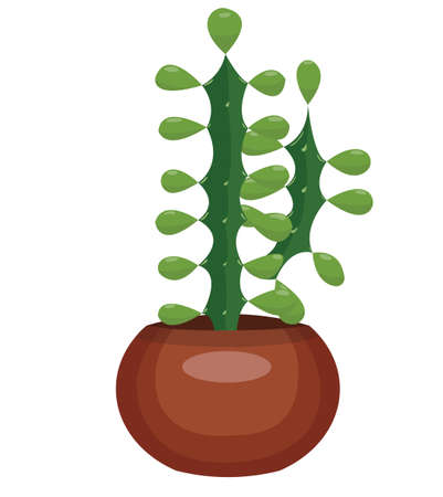 Cactus in a pot. Vector stock illustration isolated on white background.のイラスト素材