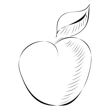 Black and white hand drawn apple. engraving. Vector illustration isolated on white background.のイラスト素材