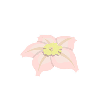 Colorful abstract flower icon. Vector illustration isolated on white background.のイラスト素材