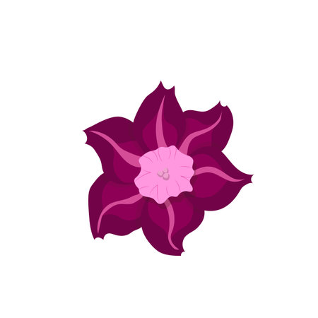 Colorful abstract flower icon. Vector illustration isolated on white background.のイラスト素材