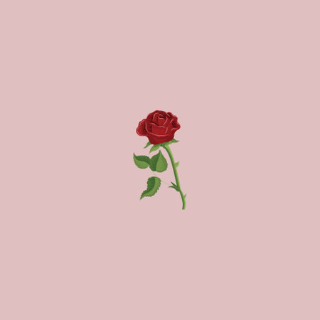 Red rose on a pink background. Seamless pattern. Previous illustration.の写真素材