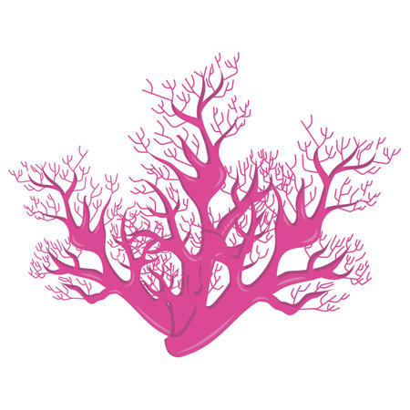 coral icon. Resume isolated illustration on white background.のイラスト素材