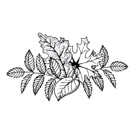 Hand-drawn composition of autumn leaves in doodle style. Vector illustration isolated on white background.のイラスト素材