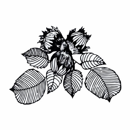 Hand-drawn composition of autumn leaves in doodle style. Vector illustration isolated on white background.のイラスト素材