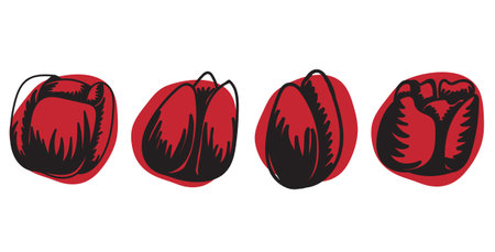 Boxing gloves. Vector illustration of a pair of boxing gloves.のイラスト素材