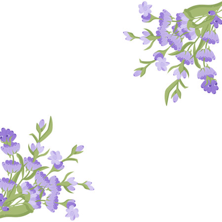 Decorative frame of lavender flowers for your design. Vector illustration isolated on white background.のイラスト素材