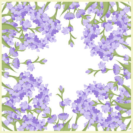 Decorative frame of lavender flowers for your design. Vector illustration isolated on white background.のイラスト素材