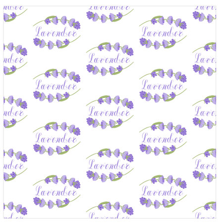 Lavender. Seamless pattern with flowers and the calligraphic word lavender on a transparent background. Vector illustration.のイラスト素材