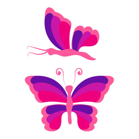 Butterfly with open wings and closed wings. Vector illustration isolated on white background.のイラスト素材