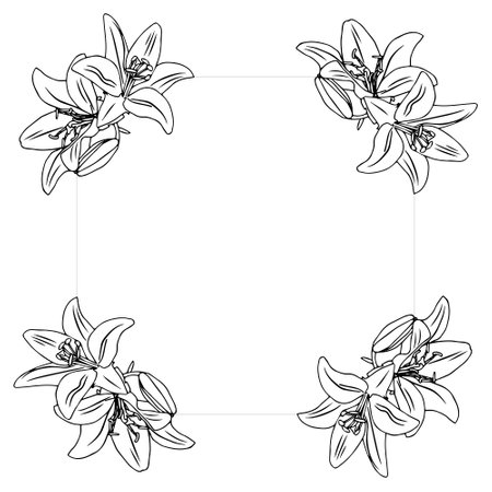 Frame with lilies in doodle style. Element for your design. Vector illustration isolated on white background.のイラスト素材