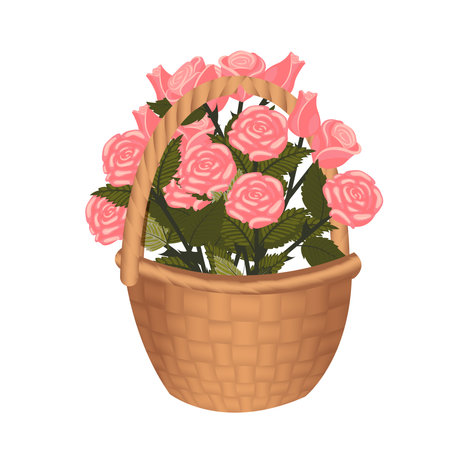 A bouquet of pink roses in a basket. Vector illustration isolated on a white background.のイラスト素材