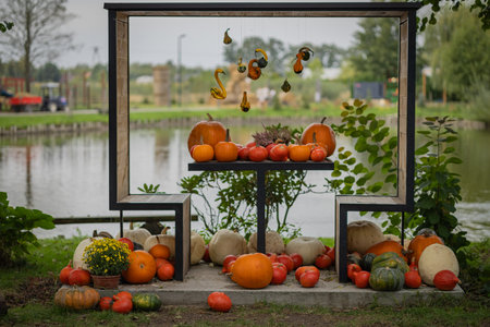 Beautiful outdoor autumn display of pumpkins and gourds on a wooden bench by a lake. Concept of seasonal harvest, fall decoration, and the bounty of natureの写真素材