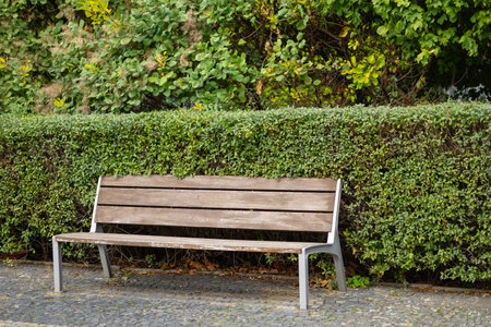 Empty wooden bench with metal frame near green hedge in peaceful park on sunny day. Concept of relaxation, outdoor seating, and natureの写真素材