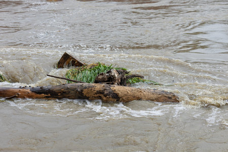 Wooden debris and logs carried by a strong river current after heavy rainfall, surrounded by turbulent water. Power of nature, flooding aftermath and river flowの写真素材