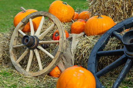 Rustic autumn composition with wooden wagon wheels, bright orange pumpkins, hay bales, and burlap sacks on green grass, evoking a cozy fall harvest atmosphere and traditional countryside charmの写真素材