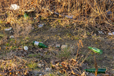 Environmental pollution with scattered glass bottles and plastic waste in a dry grassy area on a...