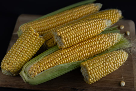 Fresh sweet corn cobs with green husks on rustic wooden cutting board, arranged in a natural...