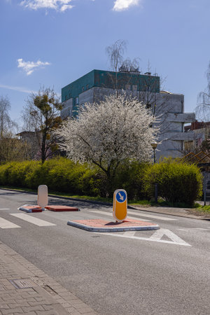 Urban street with fresh road markings, traffic islands, and directional signs in residential district during springtime, with blooming trees. Road safety, urban planning and city infrastructureの写真素材