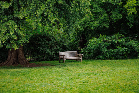 Lonely empty wooden bench under large tree in quiet green park symbolizing solitude, depression, and emotional reflection. Mental health, loneliness, healing and peaceful isolation in natureの写真素材