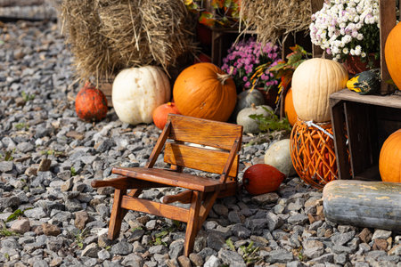 Autumn outdoor decoration with rustic wooden chair, colorful pumpkins, hay bales and blooming flowers on gravel background. Seasonal harvest, cozy countryside design and fall festive atmosphereの写真素材